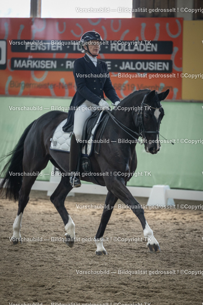 _D5A4644 | Emotionale Pferde- & People-Fotografie rund um Heidelberg, Leimen & Umgebung. Natürliche Fotos von Pferd, Mensch & Familie. Jetzt Termin sichern!