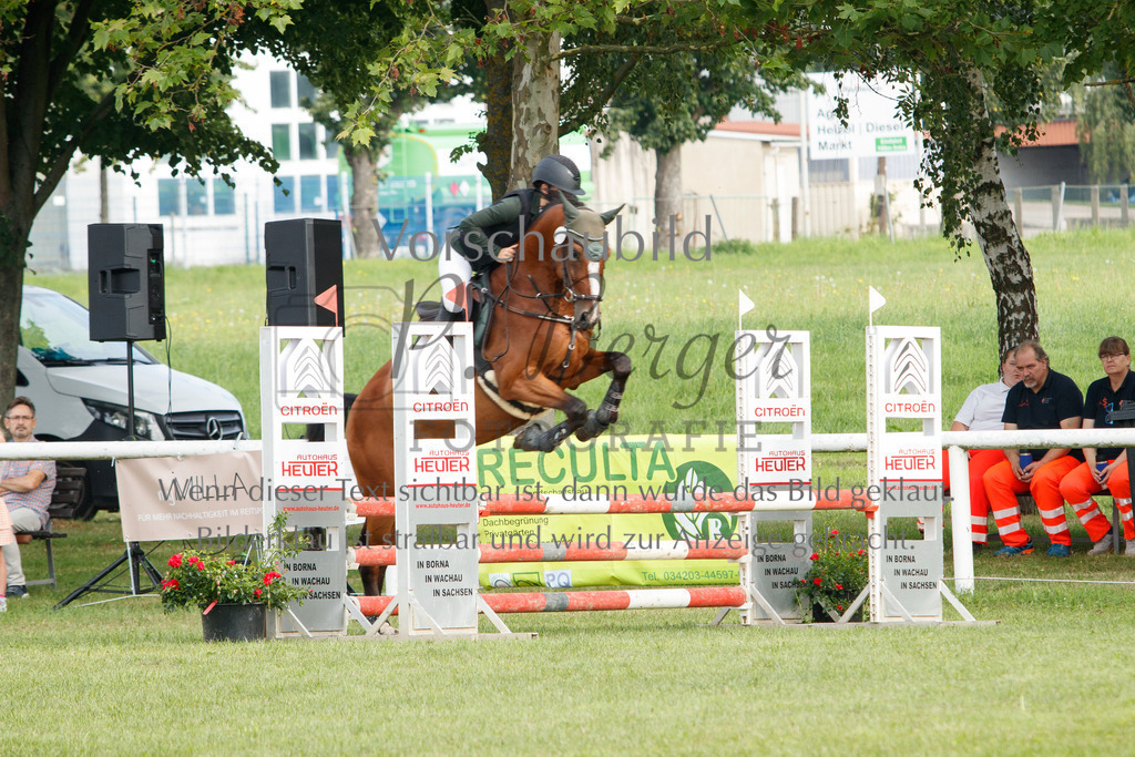 IMG_2272 | P. Berger Fotografie - Realisiert mit Pictrs.com