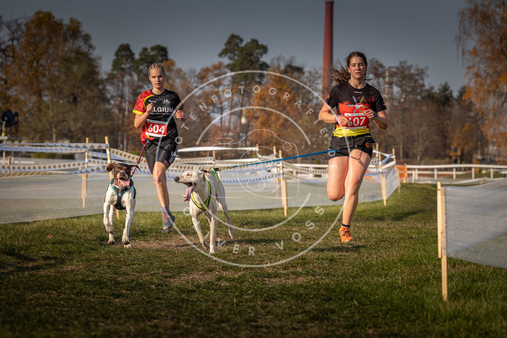 CaniXpix_0L8A0097 | Hundefotografie, Tierfotograf, Pfotenfotografie, Fotoshooting Hund, Hunde Portrait, Hundesport, Hundeportraits, Heideshooting, Hunde, Sportfotograf, Hundefotograf, Turnierhundsport, THS,  - Realisiert mit Pictrs.com