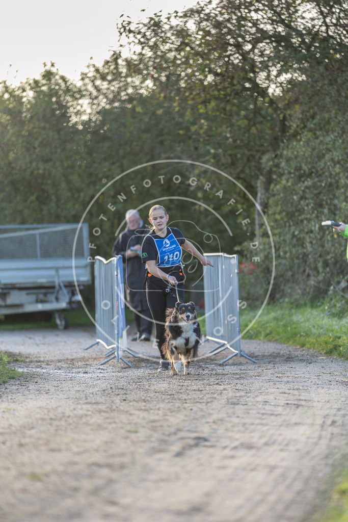 Pfotenfotografie.de_DV3A2530 | Hundefotografie, Tierfotograf, Pfotenfotografie, Fotoshooting Hund, Hunde Portrait, Hundesport, Hundeportraits, Heideshooting, Hunde, Sportfotograf, Hundefotograf, Turnierhundsport, THS, canicross - Realisiert mit Pictrs.com