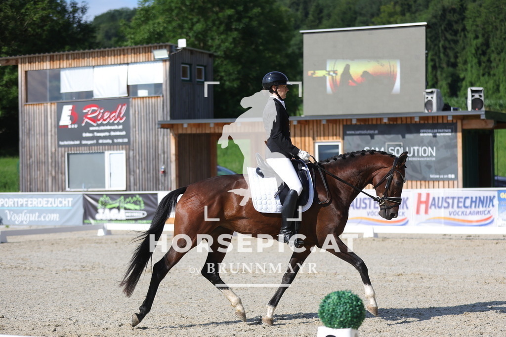 0P6A4601 | Willkommen bei Brunnmayr - Design & Fotografie – Ihrem Spezialisten für Reitturniere und Pferdeveranstaltungen in Oberösterreich, Salzburg und Bayern! Seit über 17 Jahren sind wir leidenschaftlich dabei.