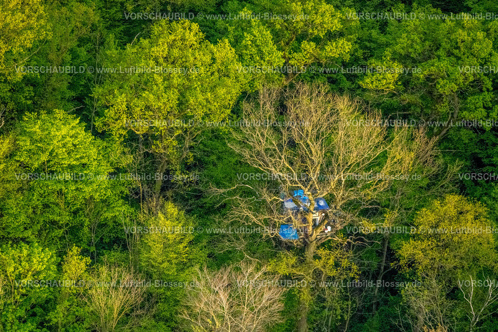 Kerpen240403770BraunkohleTagebauHambacherForst | Luftbild, Baumhaus als Protest zur Rettung vor Rodung im BraunkohleTagebau Hambacher Forst,  NSG Naturschutzgebiet Bürgewald Blatzheimer Bürge, Buir, Kerpen, Rheinland, Nordrhein-Westfalen, Deutschland