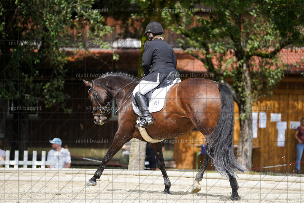 20230826-FAH05511 | Forstinning, 2023, Dressurturnier, Turniersportbilder, Turnierfotografen Bayern, Fotoagentur Herrmann, Reitsportfotografie, Turnierbilder