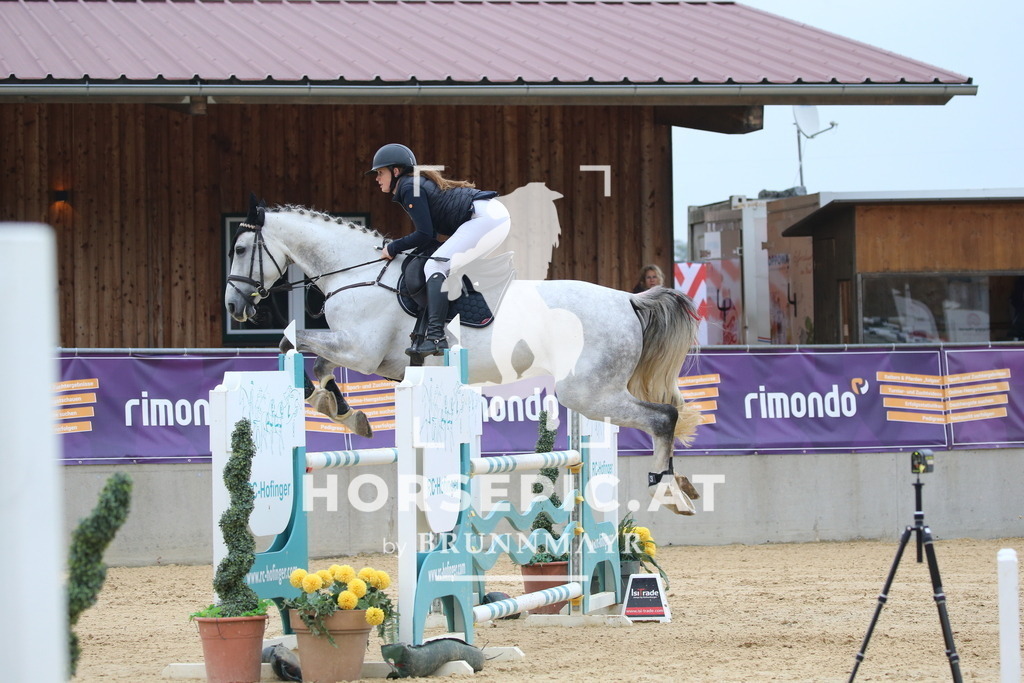 DL2Q1135 | Willkommen bei Brunnmayr - Design & Fotografie – Ihrem Spezialisten für Reitturniere und Pferdeveranstaltungen in Oberösterreich, Salzburg und Bayern! Seit über 17 Jahren sind wir leidenschaftlich dabei.