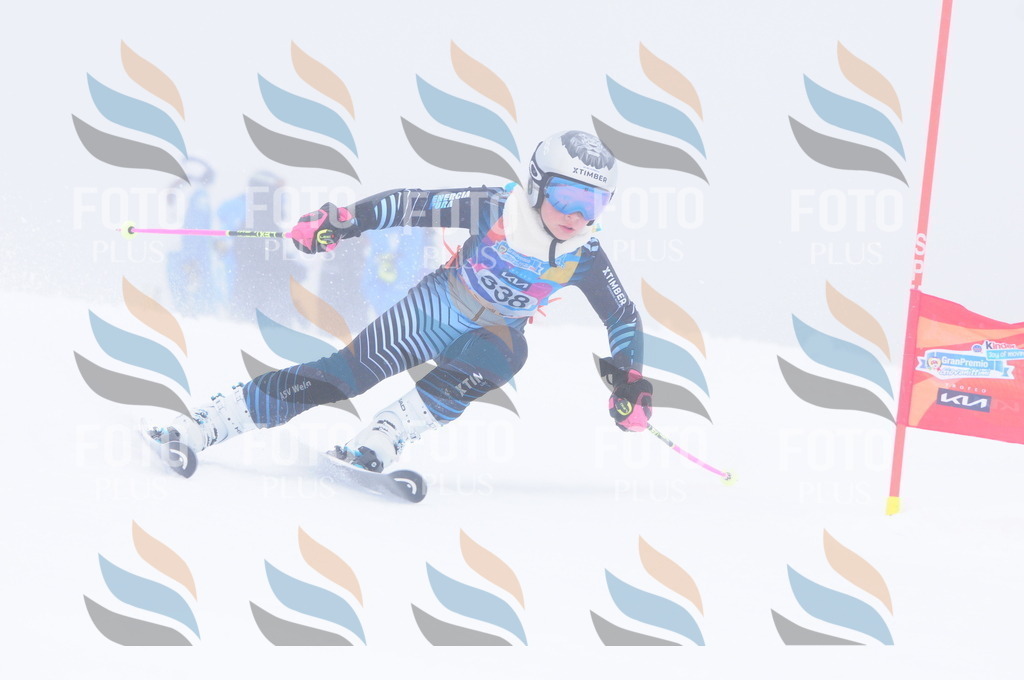 C3624 | holidayphoto