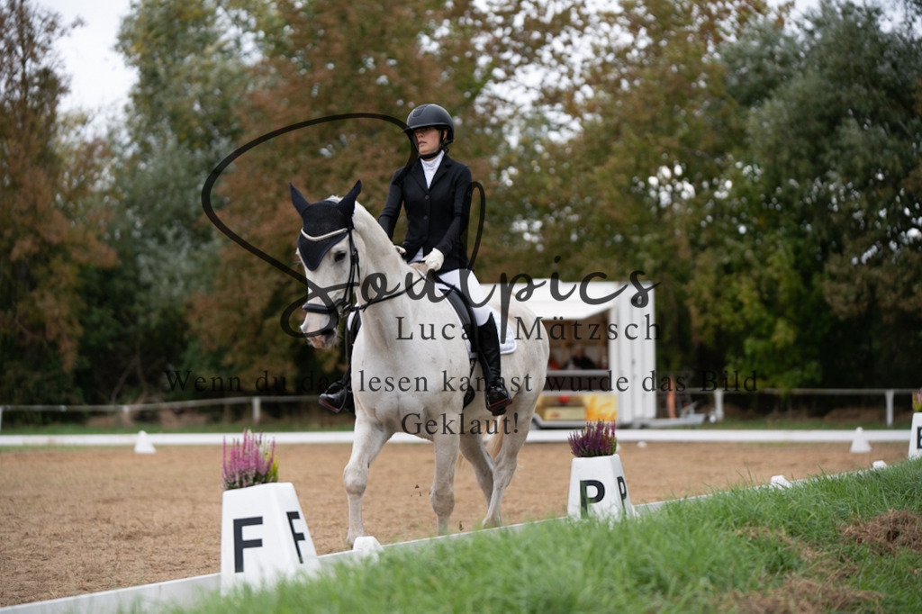 A7V05298 | Pferdefotograf