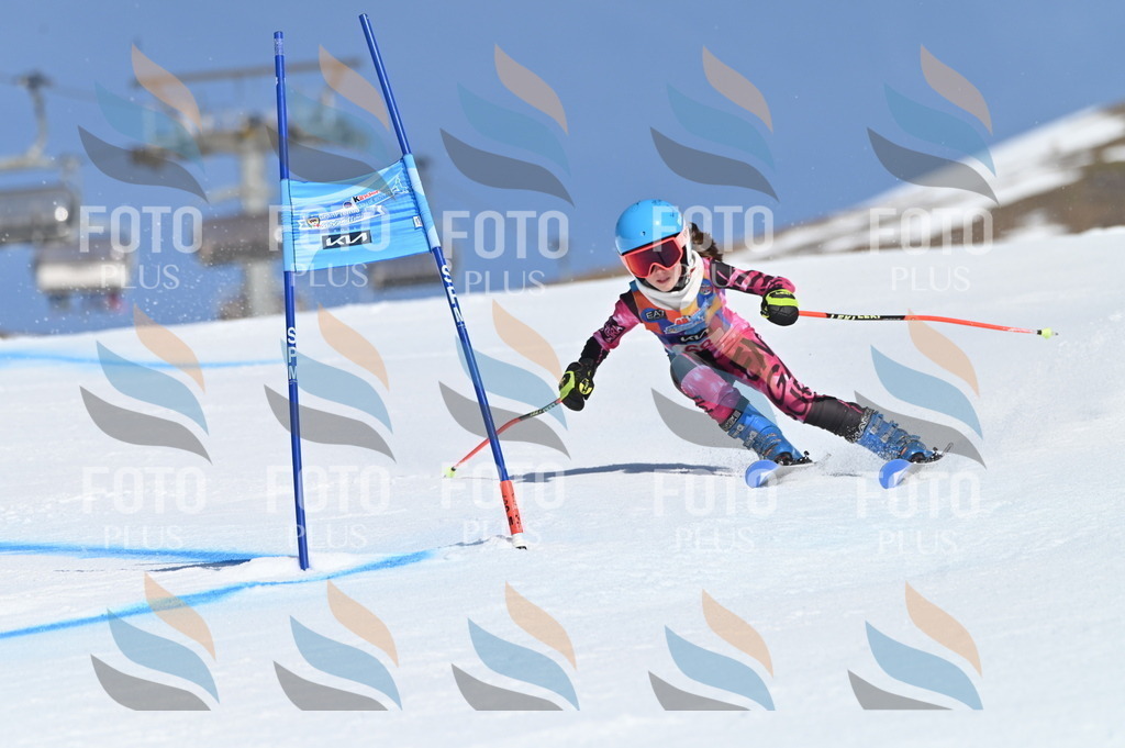 BGV_8869 | holidayphoto