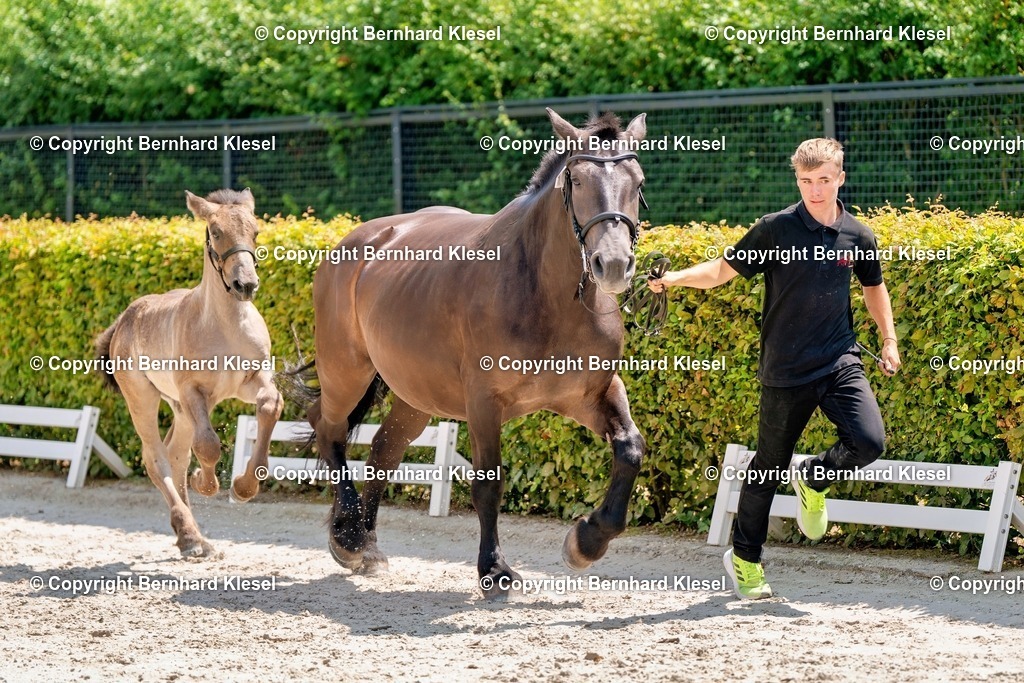 2A900749 | foto-team-bernhard - Realisiert mit Pictrs.com