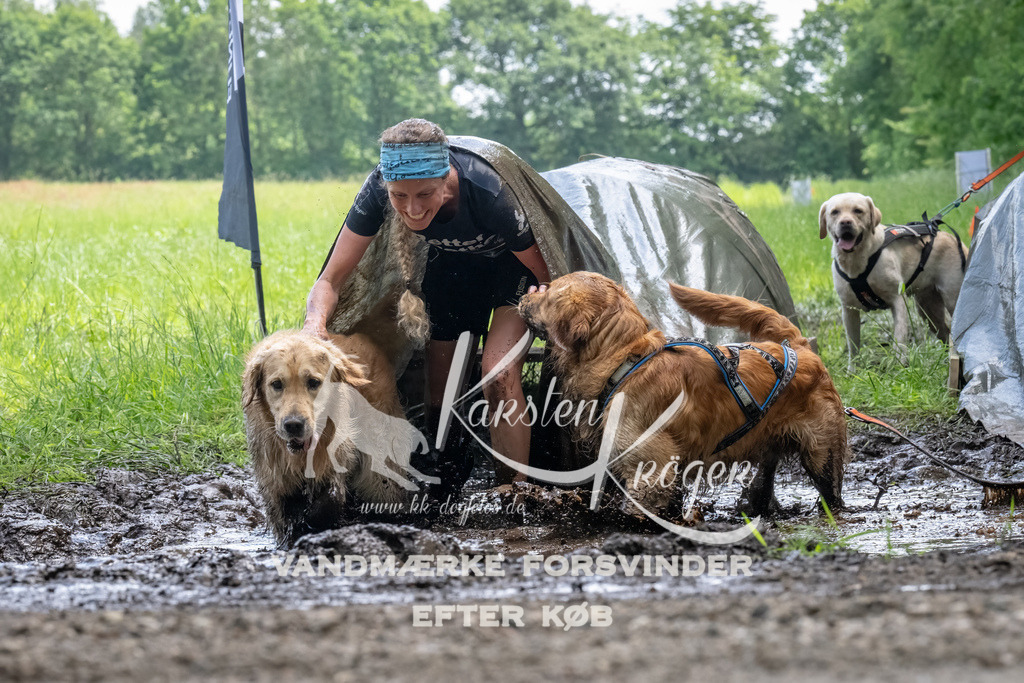 1145_ZZ94355-Bearbeitet | kk-dogfotos