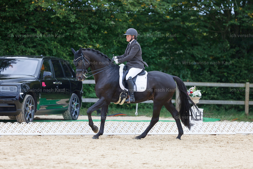 04_2-214-Dressur M__ -StoibPH-2946 | working equitationturnier fotograf videograf stoibphotography marixx film working equitation deutschland reitsport turnierfotografie eventfotografie equestrian events