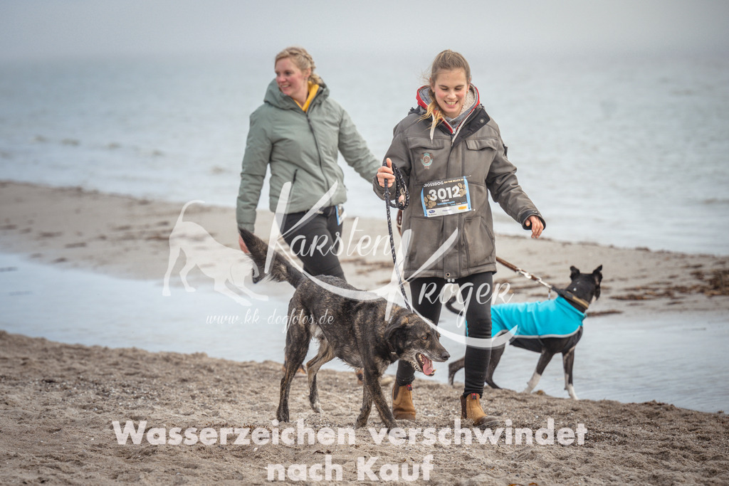 1146_ZZ90829 | kk-dogfotos