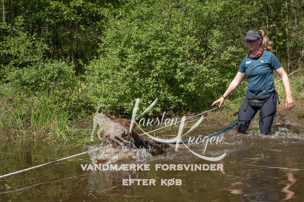 1057DKK991710 | kk-dogfotos