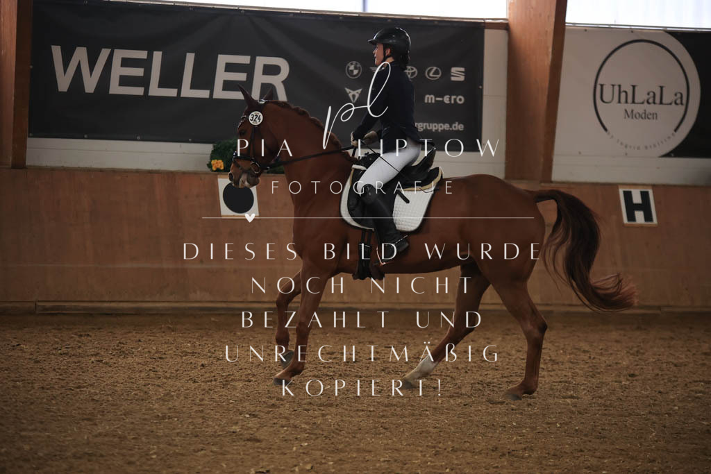 IMGT8824 | pl-fotografie