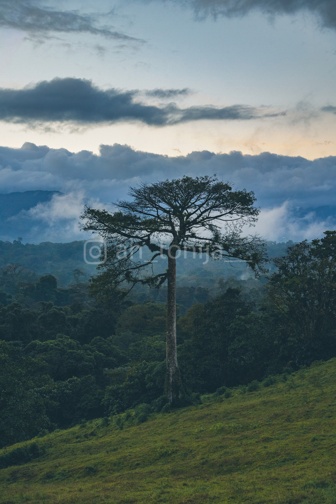 JB3A1750 | antonija-trupina - Realisiert mit Pictrs.com