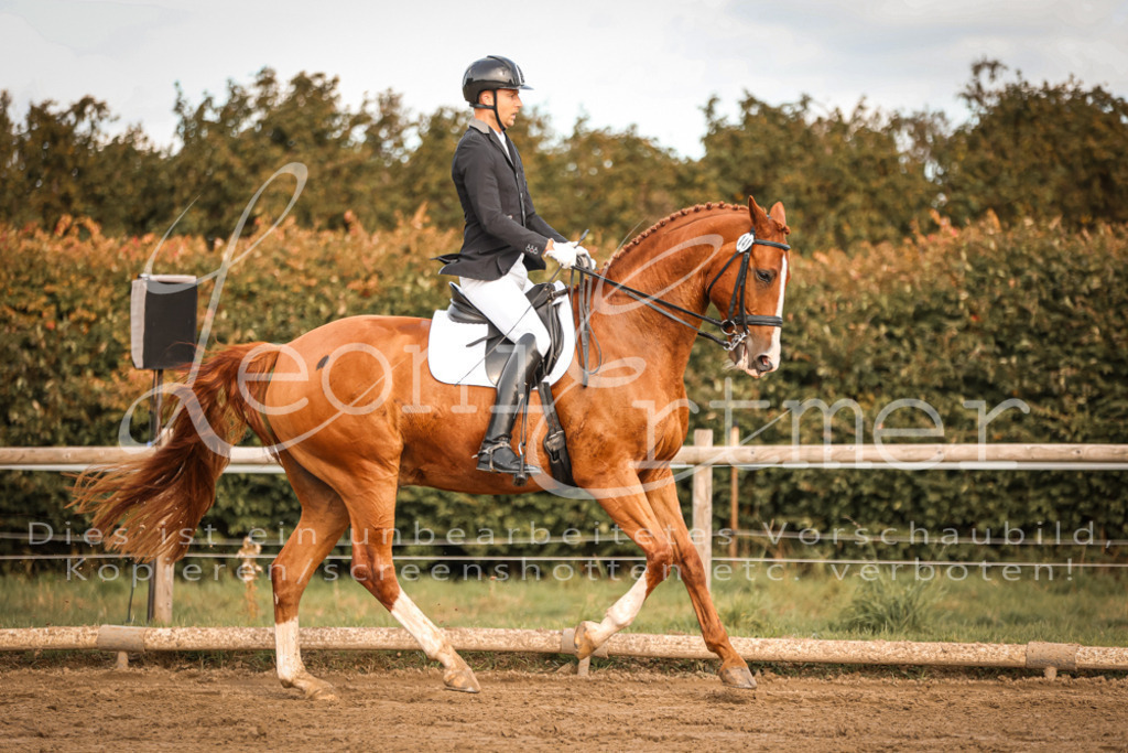 17.SoDrM00233 | Leoni Ertmer Photography - Realisiert mit Pictrs.com