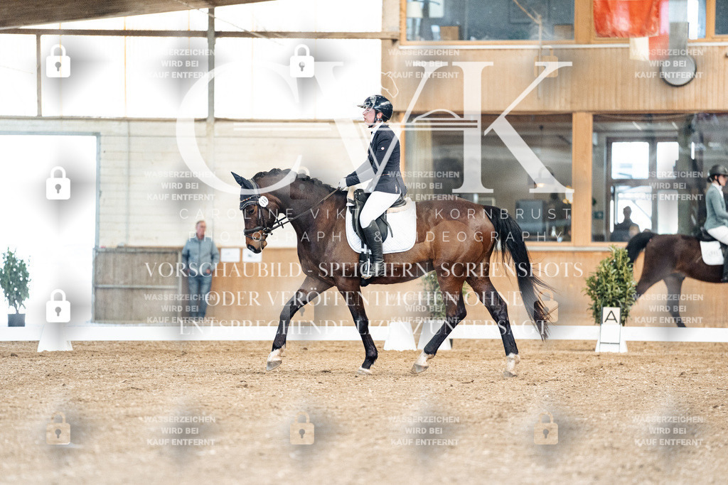 CK900861 | Turnierfotografie Pferdefotografie Trier Rheinland-Pfalz Pferdesport Reitsport Tierfotografie Sportfotografie Pferdevideo Pferdevideografie Equestrianvideography equestrianphotography  - Realisiert mit Pictrs.com