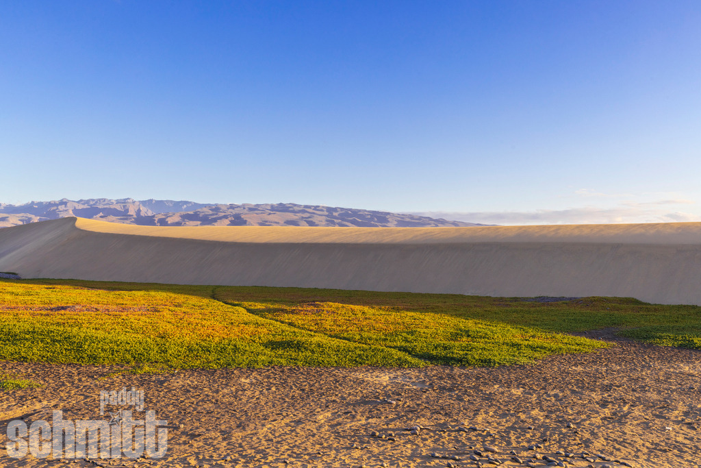 PS-Gran-Canaria-2026-08 | Entdecke die größte Bildgalerie der Region mit Fotografien aus dem Allgäu, der Bodenseeregion, Oberschwaben, dem Donautal und der Schwäbischen Alb. Landschaften, Luftaufnahmen und Reisefotografie als Wandbild und Fotokunst. - Realisiert mit Pictrs.com