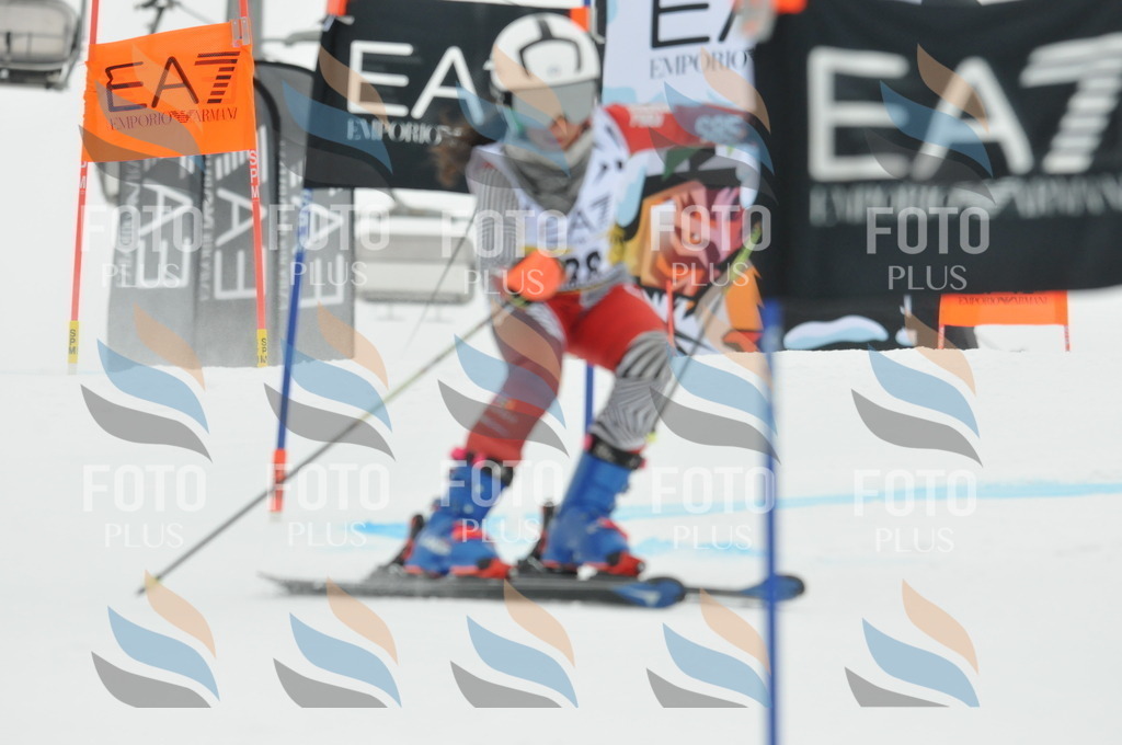 DSC_8349 | holidayphoto