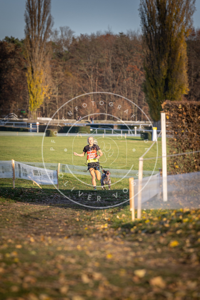 CaniXpix_DV3A3583 | Hundefotografie, Tierfotograf, Pfotenfotografie, Fotoshooting Hund, Hunde Portrait, Hundesport, Hundeportraits, Heideshooting, Hunde, Sportfotograf, Hundefotograf, Turnierhundsport, THS,  - Realisiert mit Pictrs.com