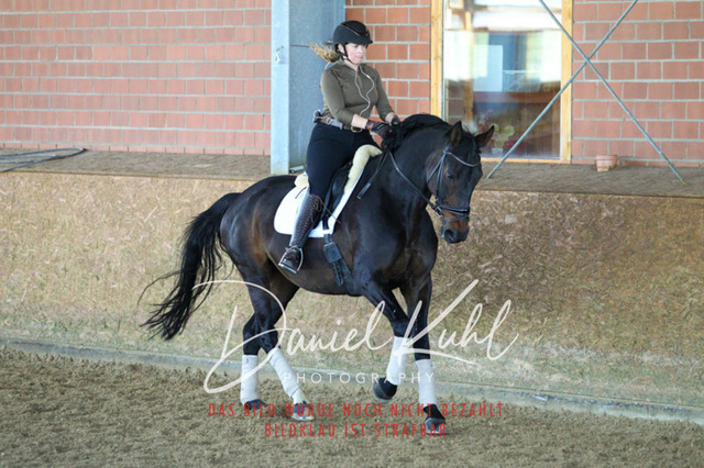 DKP42434 | Turniersportfotografie; Pferdefotografie; Dressurfotografie