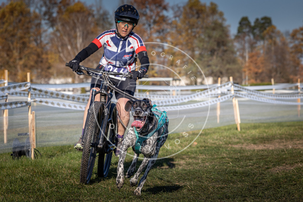 CaniXpix_0L8A5086 | Hundefotografie, Tierfotograf, Pfotenfotografie, Fotoshooting Hund, Hunde Portrait, Hundesport, Hundeportraits, Heideshooting, Hunde, Sportfotograf, Hundefotograf, Turnierhundsport, THS,  - Realisiert mit Pictrs.com
