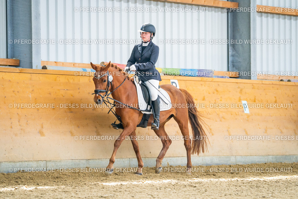 DSC05012 | Pferdegrafie