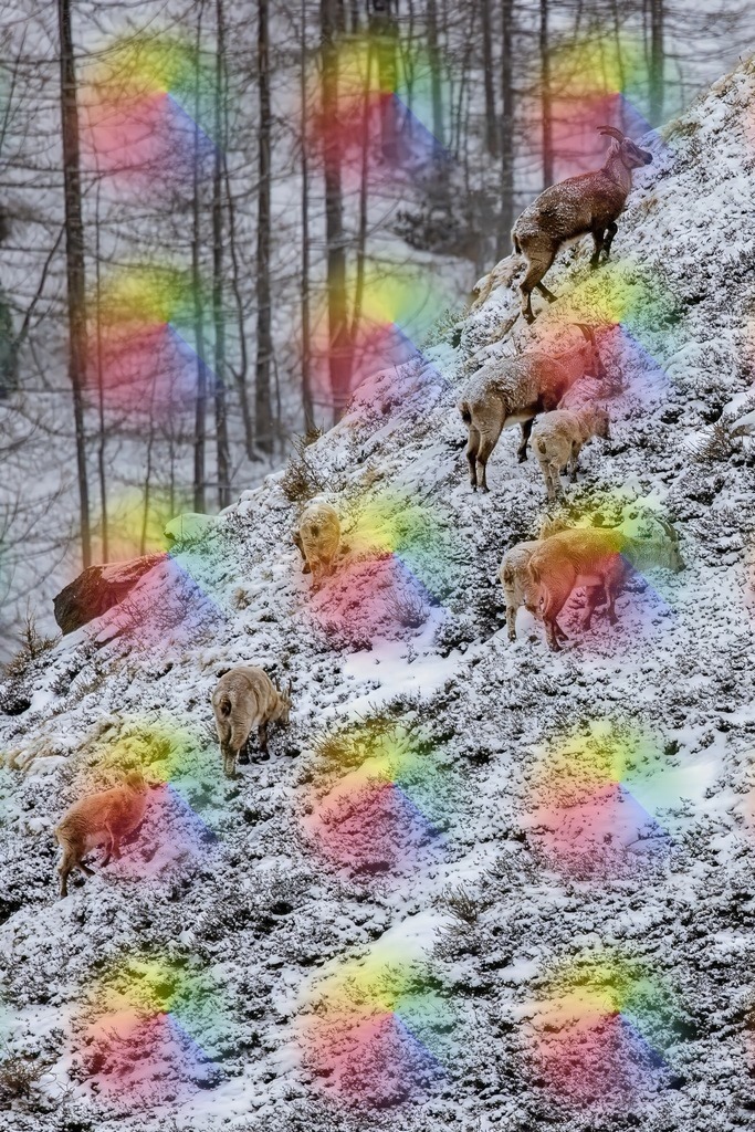 20240421-1M5A9802 | FineArtPrint, Hahnemühle, FeeGalerie, Fee Galerie, Fotokunst, Fotografie, Canonphotography, Bergfoto, Matterhorn, Rimpfischhorn, Allalinhorn, Saas-Fee, Wallis, Valais, Switzerland, Bergfotografie