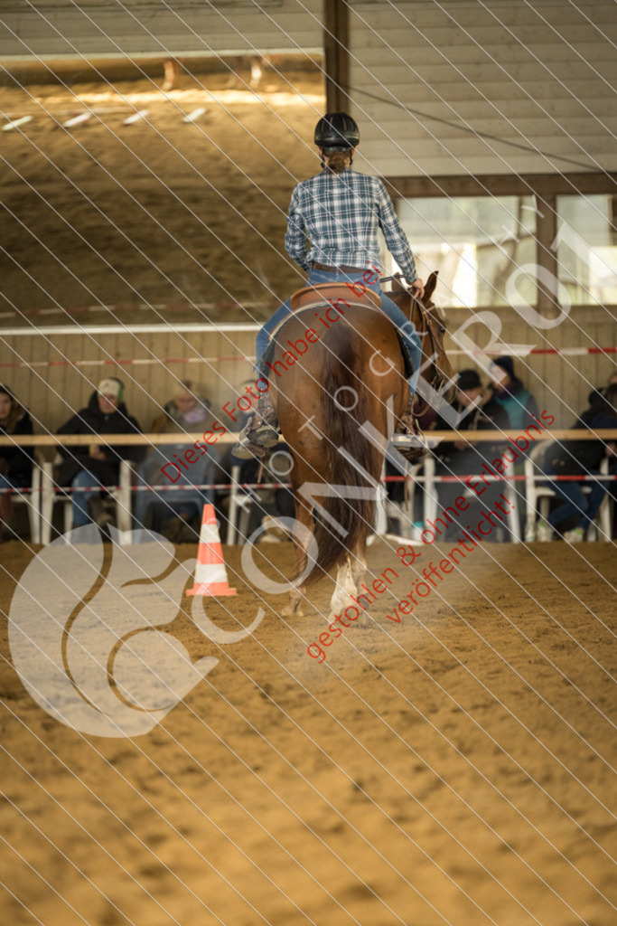 CON_2837 | Sport-, Event- und Tierfotos in Profiqualität. Einfach auswählen, bestellen und herunterladen. Dein Moment – perfekt festgehalten.
