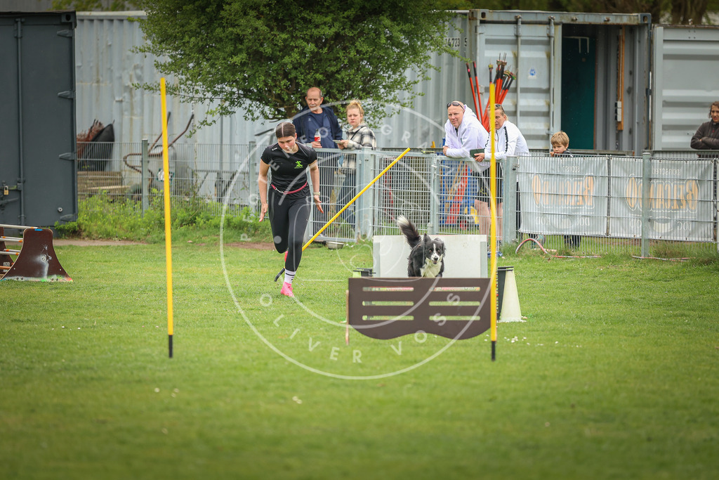 Pfotenfotografie_0L8A1598 | Hundefotografie, Tierfotograf, Pfotenfotografie, Fotoshooting Hund, Hunde Portrait, Hundesport, Hundeportraits, Heideshooting, Hunde, Sportfotograf, Hundefotograf, Turnierhundsport, THS,  - Realisiert mit Pictrs.com