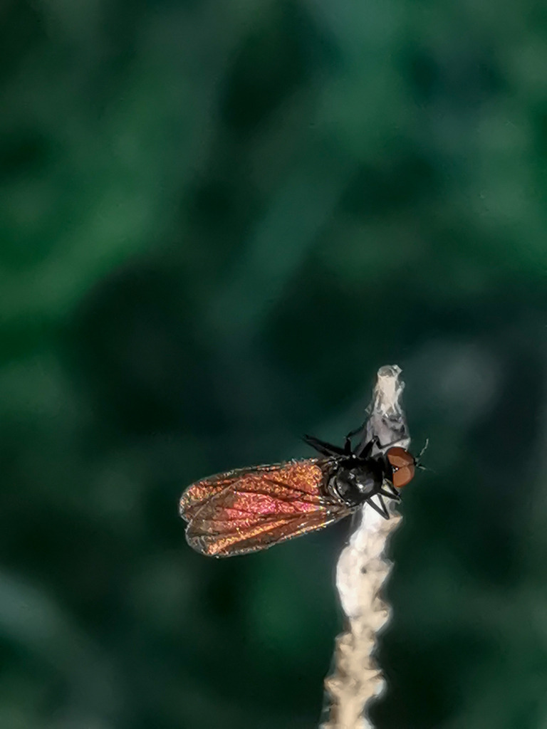 PSX_20230905_000505 | mtkfoto_ - Realisiert mit Pictrs.com