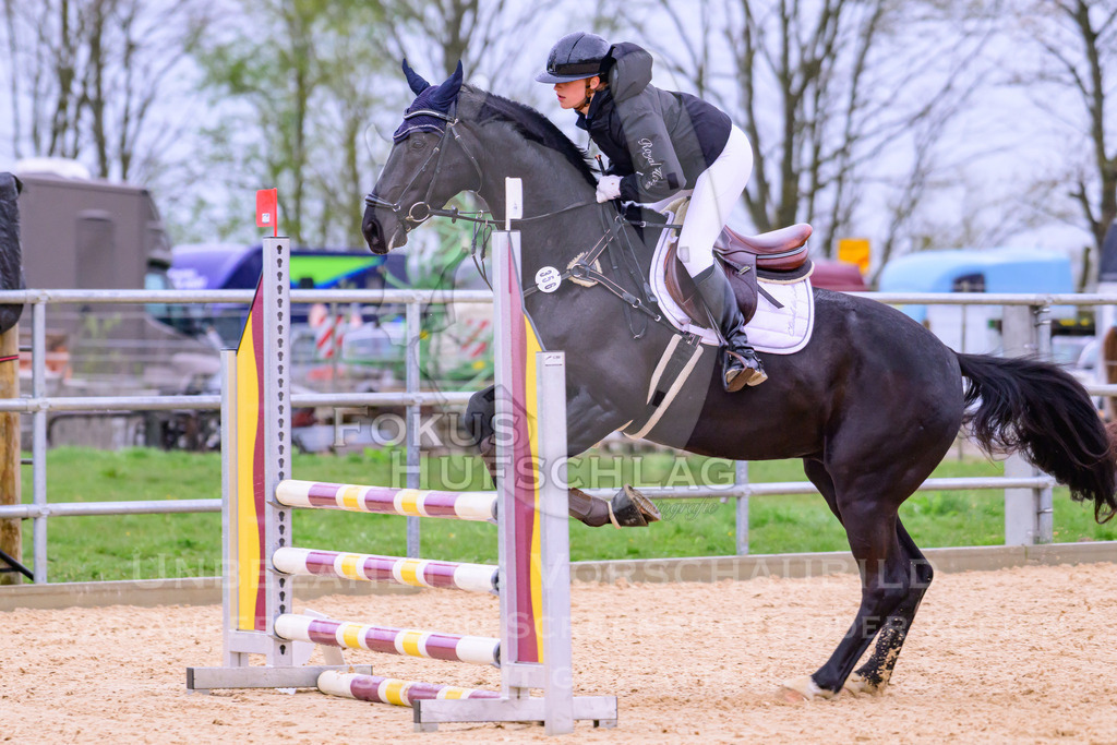 10042026-Mammendorf-Prfg13-0341 | Fokus Hufschlag Fotografie - Realisiert mit Pictrs.com
