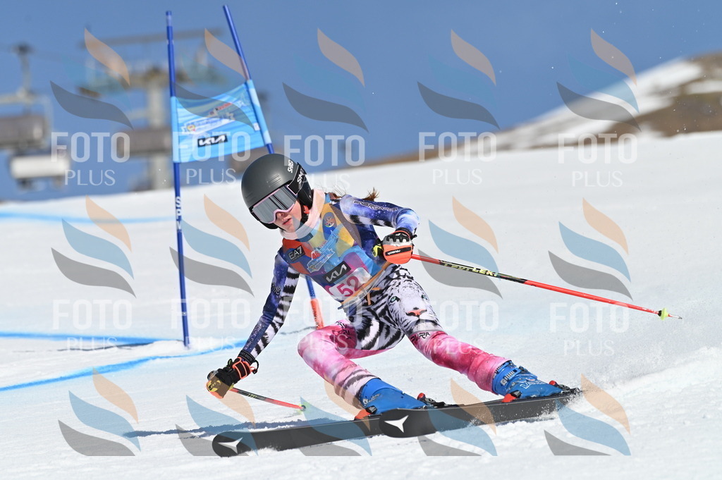 BGV_8580 | holidayphoto