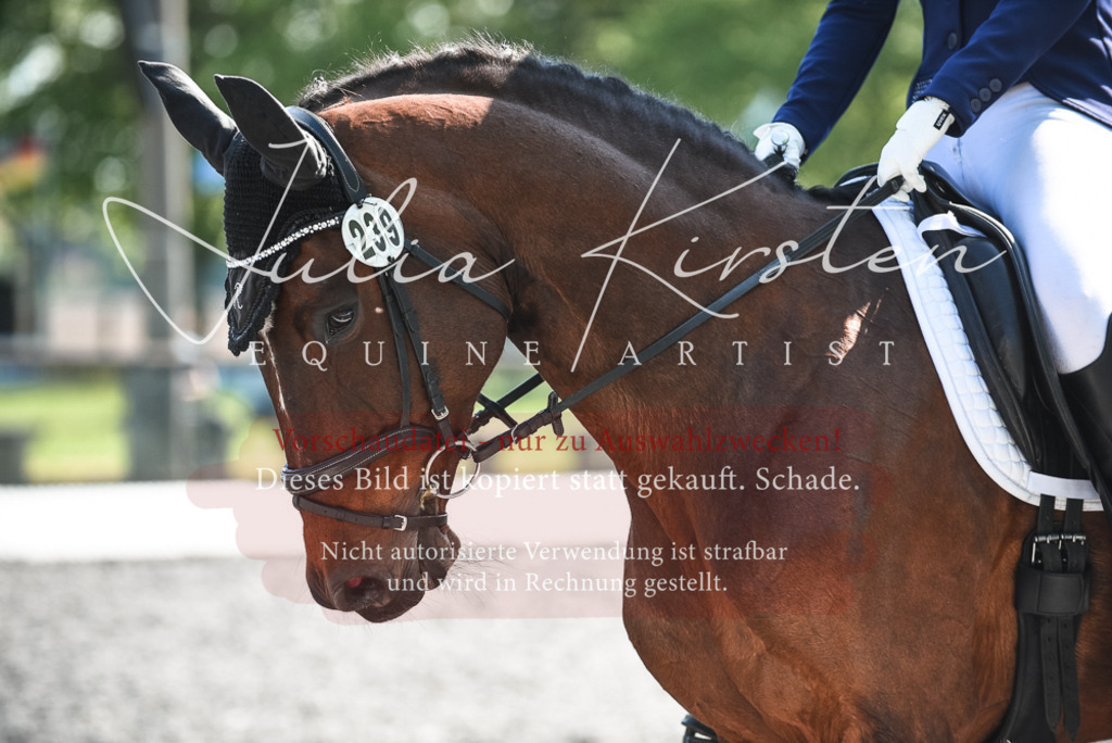 DSC_8784 | Pferde- und Turnierfotografie in Westsachsen. Pferdeportraits, Auftragszeichnungen und intuitive Kunst.