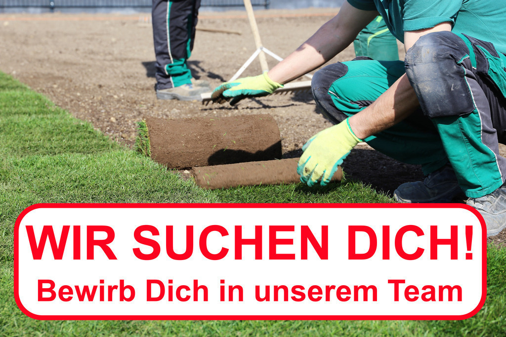 Garten- und Landschaftsbauer gesucht (Vorlage) | Wir suchen Dich (Garten- und Landschaftsbau): Text WIR SUCHEN DICH BEWIRB DICH IN UNSEREM TEAM  auf dem Bild von eines Gärtners (Vorlage Mitarbeitersuche) - Realisiert mit Pictrs.com