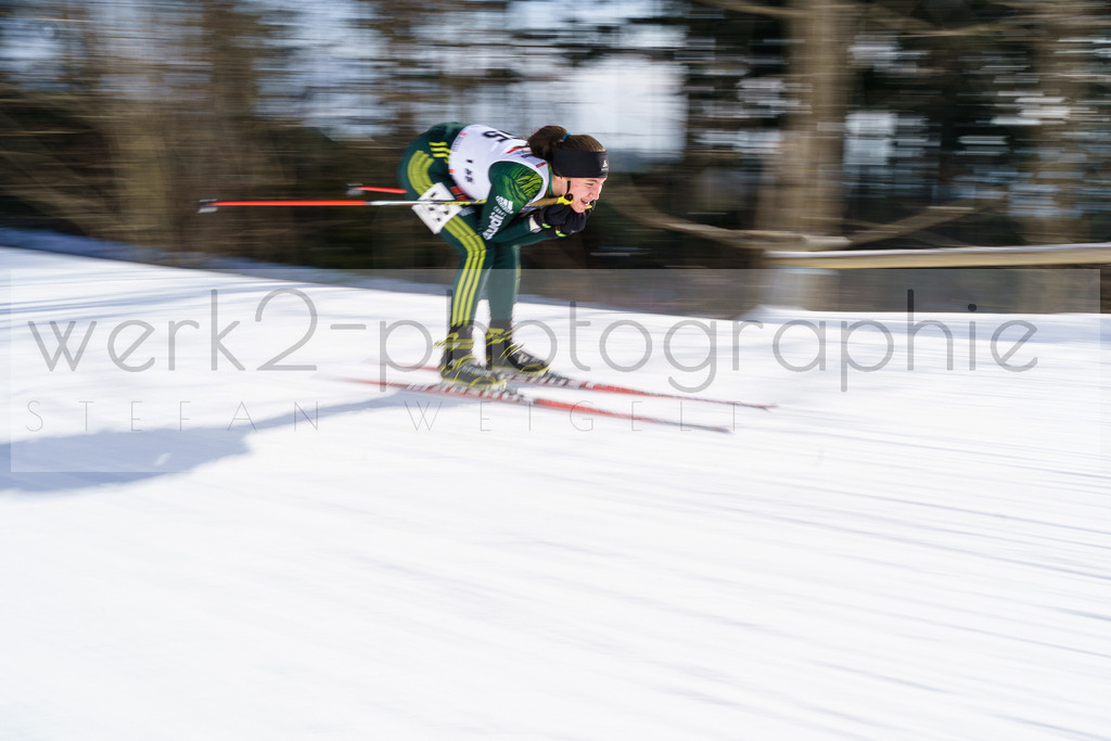 DSC Arber | Bayerischer Wald am 9. bis 12. Februar 2023
