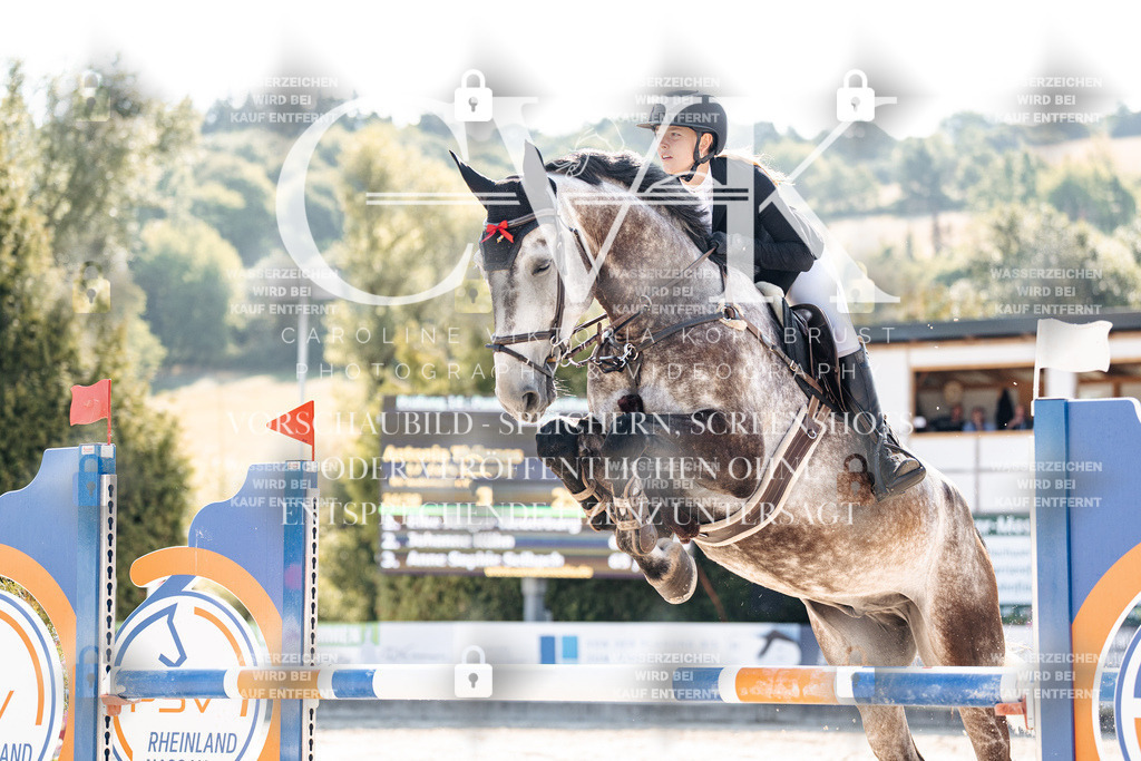CK902267 | Turnierfotografie Pferdefotografie Trier Rheinland-Pfalz Pferdesport Reitsport Tierfotografie Sportfotografie Pferdevideo Pferdevideografie Equestrianvideography equestrianphotography  - Realisiert mit Pictrs.com
