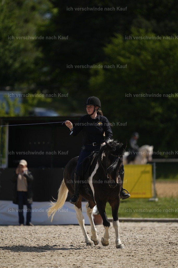 PI26_Show_Stoibphotography_A749318.JPG | working equitationturnier fotograf videograf stoibphotography marixx film working equitation deutschland reitsport turnierfotografie eventfotografie equestrian events