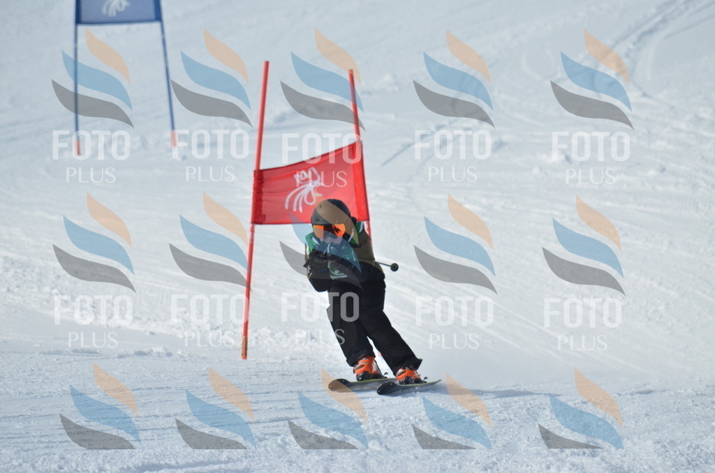 D8772 | holidayphoto