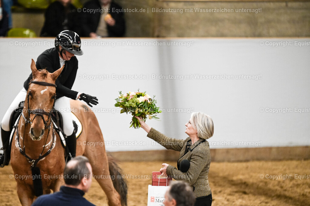 20260307_Hengstvorstellung-Marbach_0164 | equistock