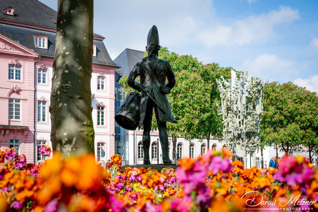 DSC_8823 | Fotografien, Fotos und Bilder aus Mainz, Frankfurt, Wiesbaden und anderen Orten auf der Welt - Fotografiert von Darius Metzner