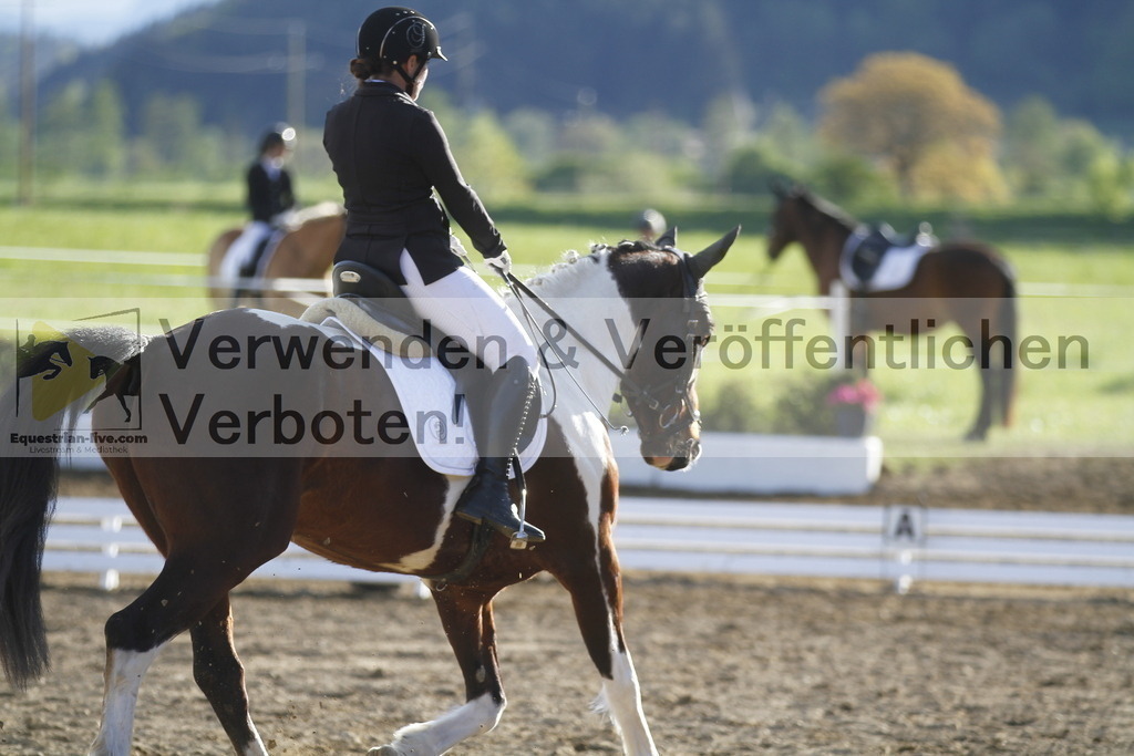 _MG_4347 | equestrian-live-com