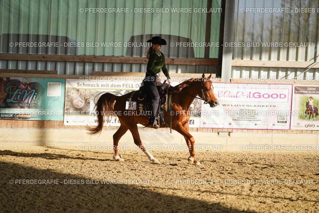 DSC08539 | Pferdegrafie