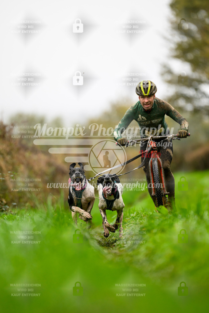 MompixPhotography_20TSB_E8_DS2-3 | PayLife
