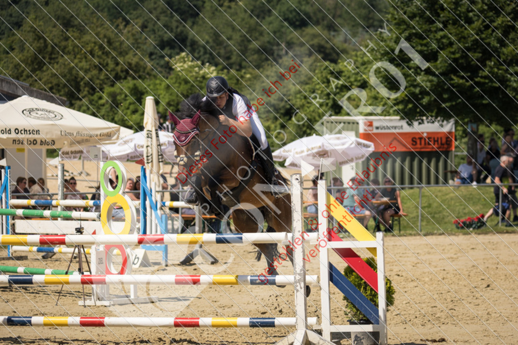 IMG_9786 | Sport-, Event- und Tierfotos in Profiqualität. Einfach auswählen, bestellen und herunterladen. Dein Moment – perfekt festgehalten.