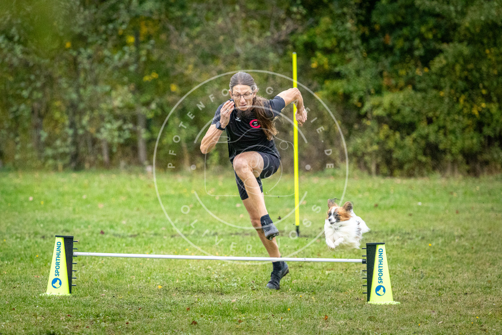 Pfotenfotografie_DV3A1529 | Hundefotografie, Tierfotograf, Pfotenfotografie, Fotoshooting Hund, Hunde Portrait, Hundesport, Hundeportraits, Heideshooting, Hunde, Sportfotograf, Hundefotograf, Turnierhundsport, THS,  - Realisiert mit Pictrs.com
