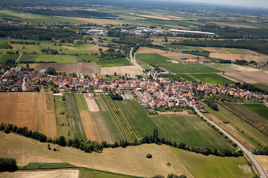 Luftbild: Ortsansicht von Norden in Erlenbach bei Kandel im Bundesland Rheinland-Pfalz in Deutschland. Foto: IMG_30214.jpg vom 05.07.2010 durch Werner Riehm/FLY-FOTO.de