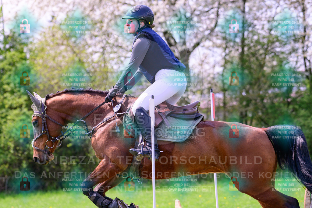 18042026-Gernlinden-01-1-0834 | Fokus Hufschlag Fotografie - Realisiert mit Pictrs.com