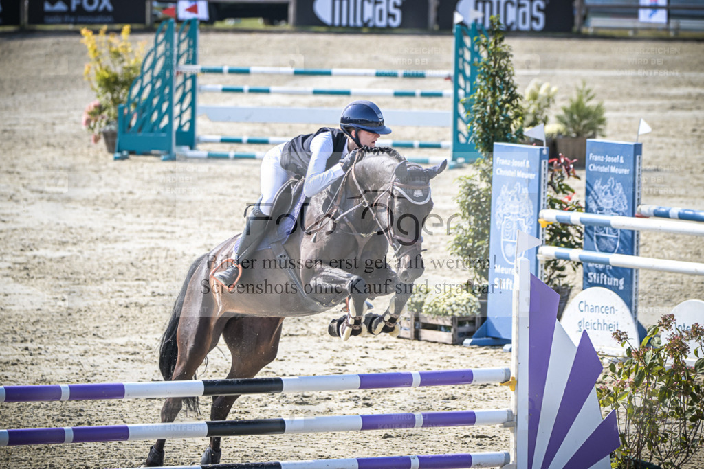 DOS_0672 | Entdecke hochwertige Reitturnierfotos von Foto Oger. Professionell, emotional und authentisch – jetzt Lieblingsmomente im Shop bestellen. - Realisiert mit Pictrs.com