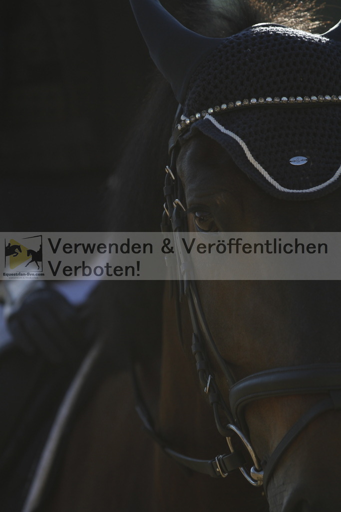 _MG_1230 | equestrian-live-com