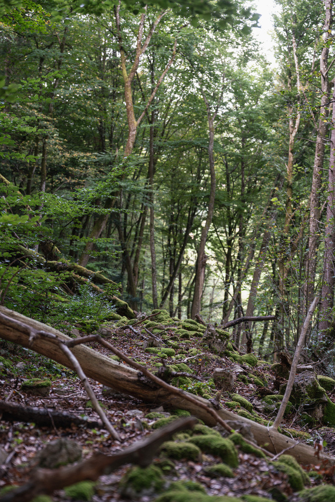 ZD250916092315 | Fotoshop von zweidimensional Fotografie. Ihr Fotograf im Aargau. Abzüge von Ihrem Fotobox Event bestellen.Abzüge von Ihrem Hochzeit bestellen.Abzüge von Ihrem Schulfotograf bestellen.